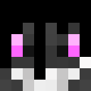 Image for homographic Minecraft Player