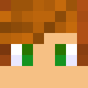 Image for iGeo Minecraft Player