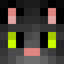 Image for iPoko Minecraft Player