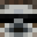 Image for iSloth Minecraft Player