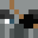 Image for illager_ Minecraft Player