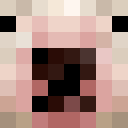 Image for imconstipated Minecraft Player