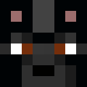 Image for imgaine Minecraft Player