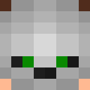 Image for indiie Minecraft Player