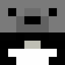 Image for itzbambii Minecraft Player