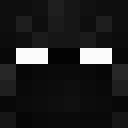 Image for iute Minecraft Player