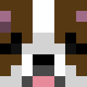 Image for john_pork12 Minecraft Player