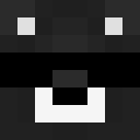 Image for juani9 Minecraft Player