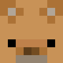 Image for kangaros Minecraft Player