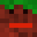 Image for laion123 Minecraft Player