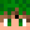 Image for laurenz Minecraft Player