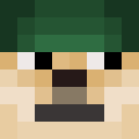 Image for lilswamp Minecraft Player