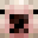 Image for limber_ Minecraft Player