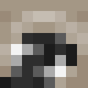 Image for maskable Minecraft Player