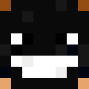 Image for masonbowers Minecraft Player