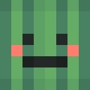 Image for melon_steve Minecraft Player