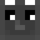 Image for meyi Minecraft Player