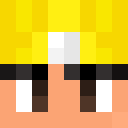 Image for miner578 Minecraft Player