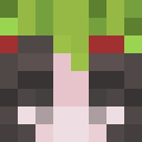 Image for minjoo Minecraft Player