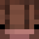 Image for moisturised Minecraft Player