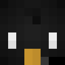 Image for mrpenguino_ Minecraft Player