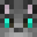 Image for nay_nay1 Minecraft Player