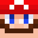 Image for newsupermario Minecraft Player