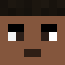 Image for nitwing Minecraft Player