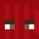 Image for npz Minecraft Player