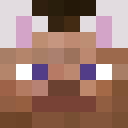 Image for oHello Minecraft Player