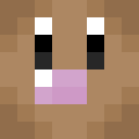 Image for oMew Minecraft Player