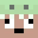 Image for palus Minecraft Player