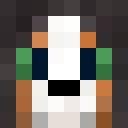 Image for paraket Minecraft Player