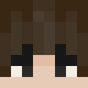 Image for pasazer Minecraft Player