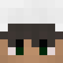 Image for pasja Minecraft Player