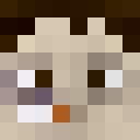 Image for pastorcraig Minecraft Player