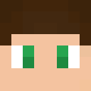 Image for paul553 Minecraft Player