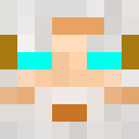 Image for paulinatorr Minecraft Player