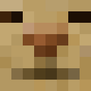 Image for pawhook Minecraft Player