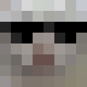 Image for picassoscat Minecraft Player