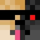 Image for poggdogg Minecraft Player