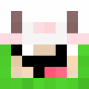 Image for pokepoke1122 Minecraft Player