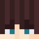 Image for pokigamer Minecraft Player