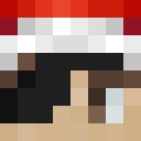 Image for polarpoo Minecraft Player