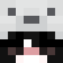 Image for polarvii Minecraft Player