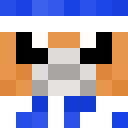 Image for porg22 Minecraft Player