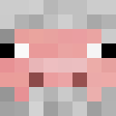 Image for porkkie Minecraft Player