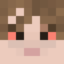 Image for pouca Minecraft Player