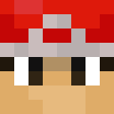 Image for pozileimann Minecraft Player