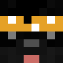 Image for pupped Minecraft Player